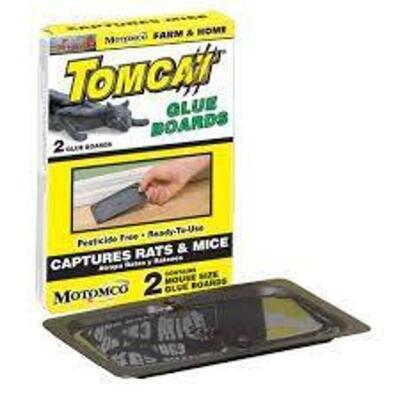 DESCRIPTION: (16) 2CT FARM & HOME TOMCAT GLUE BOARDS BRAND/MODEL: MOTOMCO RETAIL$: $2.40 EACH LOCATION: RETAIL SHOP QTY: 16