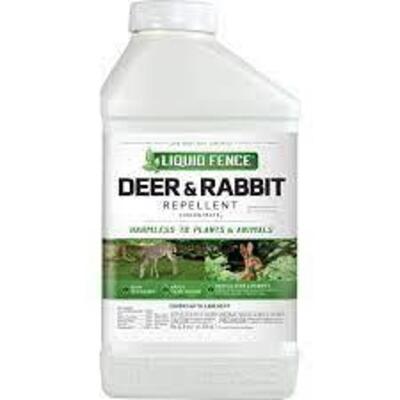 DESCRIPTION: (4) DEER & RABBIT REPELLENT CONCENTRATE2 BRAND/MODEL: LIQUID FENCE 17-15843 RETAIL$: $33.50 EACH LOCATION: RETAIL SHOP QTY: 4