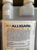 DESCRIPTION: (3) 1 QT. BOTTLES OF ECOMAZAPYR 2 SL HERBICIDE BRAND/MODEL: ALLIGARE RETAIL$: $34.75 EACH LOCATION: RETAIL SHOP QTY: 3 - 4