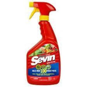 DESCRIPTION: (5) 32 OZ. BOTTLES OF SEVIN INSECT KILLER BRAND/MODEL: GARDEN TECH 031114K RETAIL$: $7.50 EACH LOCATION: RETAIL SHOP QTY: 5