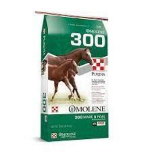 DESCRIPTION: (4) 50 LB. BAGS OF OMOLENE 300 MARE & FOAL FEED BRAND/MODEL: PURINA INFORMATION: SEE PHOTOS FOR MORE DETAILS LOCATION: RETAIL SHOP QTY: 4