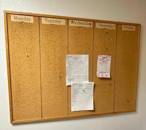 (3) 4' CORK BOARDS