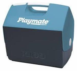 DESCRIPTION: (1) PAYMATE, PERSONAL COOLER BRAND/MODEL: IGLOO #480G34 INFORMATION: BLACK AND GREYISH BLUE RETAIL$: $55.57 EA SIZE: 16 QT COOLER CAPACIT