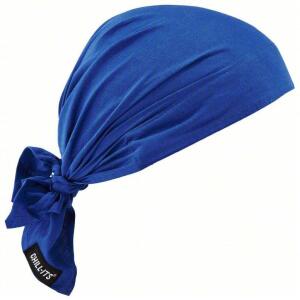 DESCRIPTION: (2) EVAPORATIVE COOLING TOWEL BRAND/MODEL: ERGODYNE CHILL -ITS #16V838 INFORMATION: BLUE RETAIL$: $15.89 EA QTY: 2