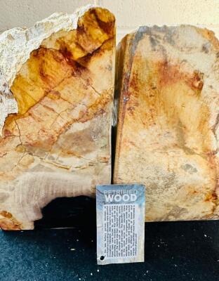 PETRIFIED WOOD POLISHED BOOKENDS