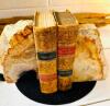 PETRIFIED WOOD POLISHED BOOKENDS - 2