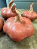 CLAY PUMPKINS - 2