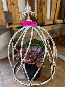 METAL FLOWER CAGE