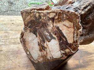 DESCRIPTION: PETRIFIED WOOD LOG SIZE: 6"X3" QTY: 1