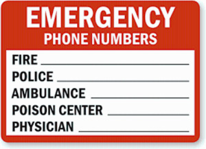 DESCRIPTION: (3) EMERGENCY PHONE NUMBER SIGN RETAIL$: $8.41 EA QTY: 3