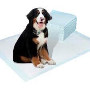 DESCRIPTION: (3) BAGS OF (40) PET TRAINING PADS BRAND/MODEL: PALODE PIE RETAIL$: $22.58 EA SIZE: LARGE QTY: 3