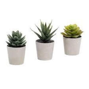 DESCRIPTION: (1) CASE OF (4) ARTIFICIAL SUCCULENTSBRAND/MODEL: OFFICE DEPOTRETAIL$: $14.09 EAQTY: 1