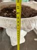 DESCRIPTION: 25" ROUND X 36" TALL STONE PLANTER SIZE 25" R X 36" T LOCATION: BAY 6 QTY: 1 - 4