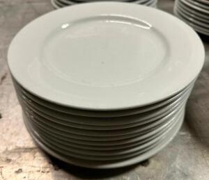 DESCRIPTION: (12) 10" CHINA PLATES SIZE 10" LOCATION: BAY 7 THIS LOT IS: SOLD BY THE PIECE QTY: 12