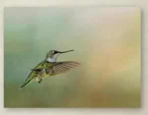 (1) "PEACEFUL DAY WITH A HUMMINGBIRD" PAINTING