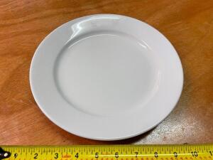 (12) 9.5" CHINA PLATES