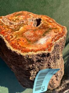 DESCRIPTION: PETRIFIED WOOD LOG SIZE: 3"X5" QTY: 1