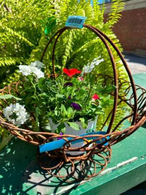 DESCRIPTION: WIRE PLANTER BASKET INFORMATION: PLANT NOT INCLUDED SIZE: 16"X18" QTY: 1