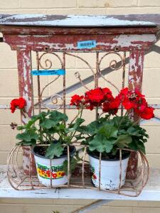 DESCRIPTION: WALL PLANTER INFORMATION: PLANT NOT INCLUDED SIZE: 22"X24" QTY: 1