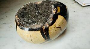 DESCRIPTION: SEPTARIAN EGG SPECIMEN SIZE: 2-1/2"X3" QTY: 1