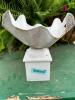 DESCRIPTION: SHELBY WHITE METAL PLANTER INFORMATION: PLANT NOT INCLUDED SIZE: 10"X10" QTY: 1 - 2