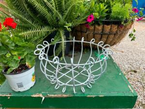 DESCRIPTION: WHITE METAL GARDEN BASKET INFORMATION: PLANT NOT INCLUDED SIZE: 15"X9" QTY: 1