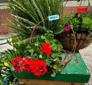 DESCRIPTION: RUSTIC METAL GARDEN BASKET INFORMATION: PLANT NOT INCLUDED SIZE: 13"X7" QTY: 1