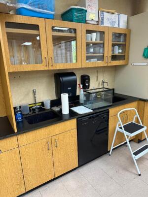 LAB CABINET SYSTEM