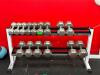 DUMBBELL RACK SET WITH WEIGHTS