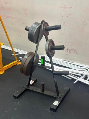 WEIGHT RACK WITH CONTENTS