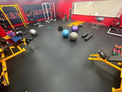 LARGE GROUP OF GYM PADDED FLOORING