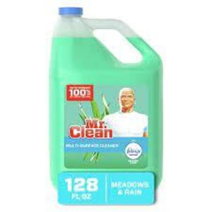 DESCRIPTION: (2) MULTI-SURFACE CLEANER BRAND/MODEL: MR CLEAN SIZE: 1 GALLON RETAIL$: $11.59 EA QTY: 2