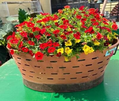 DESCRIPTION: COPPER OLIVE BASKET SIZE: 24"x16" QTY: 1