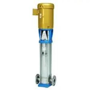 (1) VERTICAL MULTISTAGE PUMP