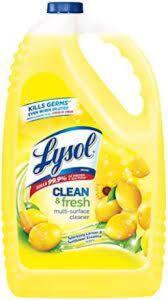 (1) MULTI-SURFACE CLEANER