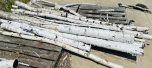 DESCRIPTION: LARGE PILE OF WHITE BIRCH LOGS QTY: 1