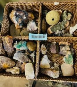 TRAY OF ASSORTED FOSSILS AND SEA SHELLS