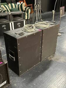 (2) - PEAVY SPEAKER ENCLOSURES