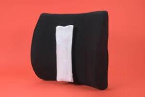 DESCRIPTION: (1) LUMBAR SUPPORT BRAND/MODEL: THERMALFREEZE #TF220 RETAIL$: $13.87 EA QTY: 1