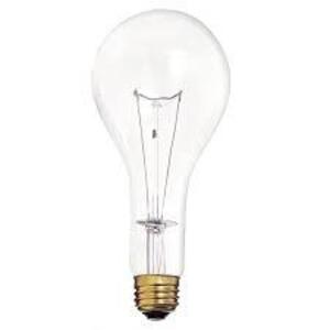 (24) MEDIUM BASE LIGHT BULBS