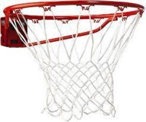 (1) BASKETBALL RIM WITH NET