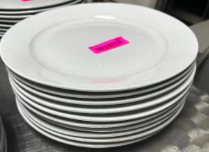 (10) 11" CHINA PLATES