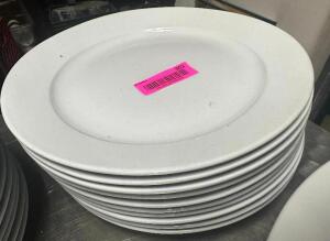 (10) 11" CHINA PLATES