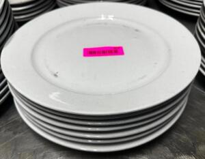 (10) 11" CHINA PLATES