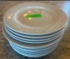 DESCRIPTION: (12) 10" CHINA PLATES BRAND / MODEL: BUFFALO SIZE 10" LOCATION: UPSTAIRS THIS LOT IS: SOLD BY THE PIECE QTY: 12