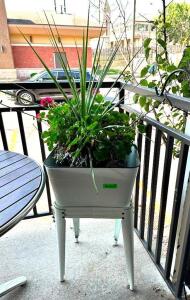 NAME: CUSTOM MADE PLANTER DESCRIPTION: CUSTOM MADE PLANTER LOCATION: PATIO QTY: 1