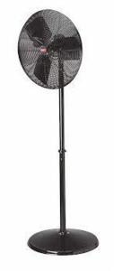 (1) PEDESTAL FAN