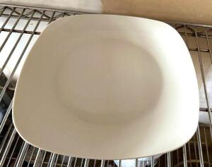 (24) 10" CHINA PLATES