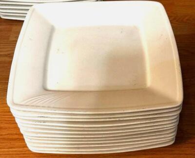 DESCRIPTION: (12) 9.5" X 9.5" CHINA PLATES BRAND / MODEL: TATUNG HOTELWARE SIZE 9.5" X 9.5" LOCATION: MAIN SEATING THIS LOT IS: SOLD BY THE PIECE QTY: