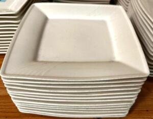 DESCRIPTION: (24) 8" X 8" CHINA PLATES BRAND / MODEL: TATUNG HOTELWARE SIZE 8" X 8" LOCATION: MAIN SEATING THIS LOT IS: SOLD BY THE PIECE QTY: 24